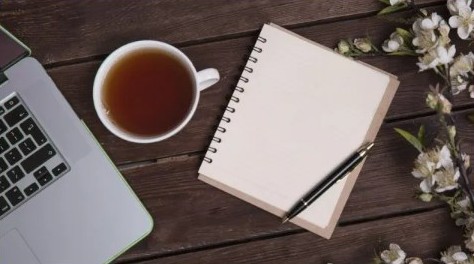 Career Consultation & Guidance